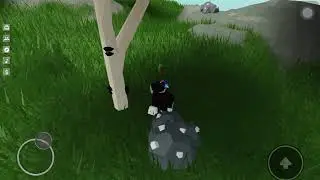 How to get starfruit seeds in skyblox
