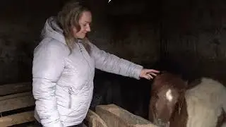 Panonikum: Stočarstvo kao izazov