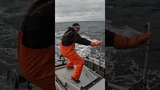 Albacore Tuna Fishing 2024 RIDE WAVES TWEEN BITES #yakventures #tuna #albacore