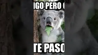 Hola amigos de YouTube #parati