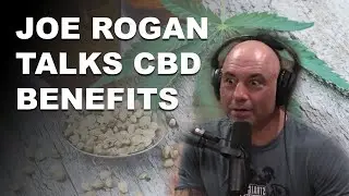 Joe Rogan Talks CBD Benefits (Joe Rogan CBD Oil Podcast | 2020)