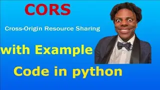 CORS (Cross-Origin Resource Sharing)