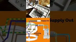 Connections Explained in a Light and Switch