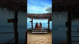 Шри ланка! Лучшее место чтобы найти друзей #шриланка