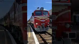 M62 194 alapjárat Balatonfüreden