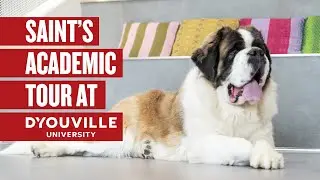 Saint's Academic Tour