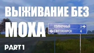 ДЕЙЗИ СУРВАЙВАЛ. «СОЛНЕЧНЫЙ» ЧАСТЬ (1/3)