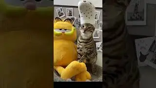 #животные #китай