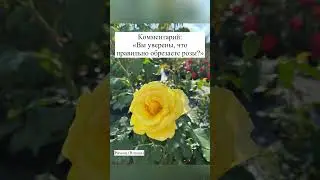 8 декабря 2023 г.