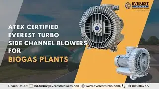 Everest Turbo Atex Side Channel Blowers for Biogas Plants