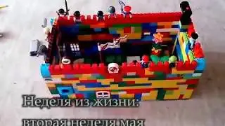 Неделя из жизни: вторая неделя мая