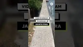 VIDEO INI BUKTI JAKARTA AKAN TENGGELAM?? 