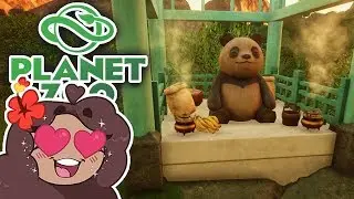 Keeper of the Panda Shrine!! 🐼 Daily Planet Zoo! • Day 14