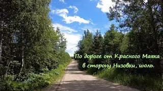 По дороге от Красного Маяка в сторону Низовки, июнь. Очень кратко:)