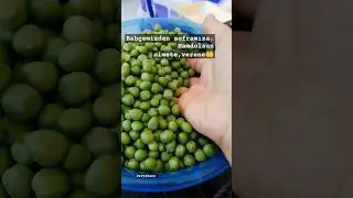 günlük bahçe rutini