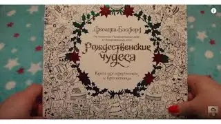 NEW! Заказ с OZON : Рождественские Чудеса | Улитка Ульяна | Снегири | Енот | Сковорода | Память