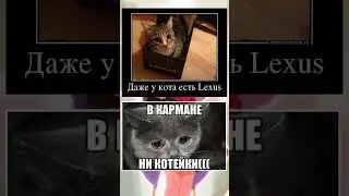 #кот #котики #котыприколы #коты #мемас #мем  #мемасы #меме #мемы_тикток #мемы2023