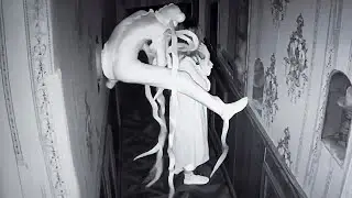 Camera Captures What No One Was Supposed To See !