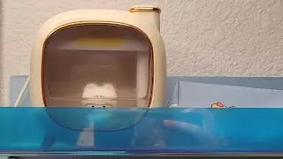 ⏰️time to refill the humidifier⏰️| ☆aliexpress cute humidifier☆ | 《USB connect ver. not charge ver.》