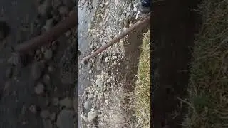 Нашёл медный трёх фазный кабель✅