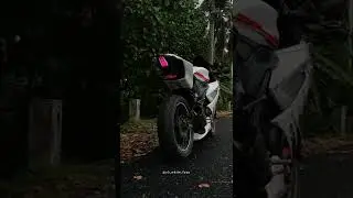 【R】【1】【5】 🤍