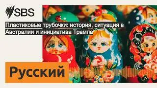 Пластиковые трубочки: история, ситуация в Австралии и инициатива Трампа | SBS Russian - SBS на...