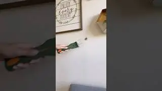 Ловушка для насекомых