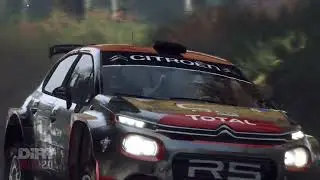 DiRT Rally 2 0