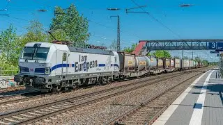 Sichtungen aus Saarmund vom 06.05.2020 Teil 2