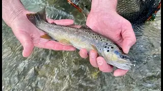 Нахлыстовая рыбалка - Сербия, река Млава. Flyfishing on Mlava river, Serbia, March of 2023.