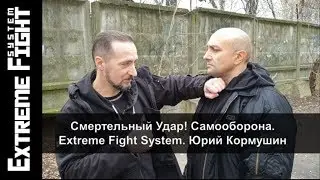 Death blow! Self defense. Extreme Fight System. Yuri Kormushin