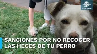 ¿De cuánto es la multa por no recoger las heces de sus perros?