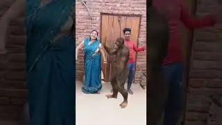 Monkey ke sath dance by you 