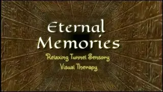 Eternal Memories Relaxing Sensory Tunnel