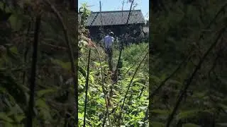 Паркур смотреть до конца