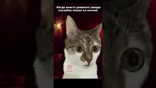 Случайно зашел на ночной завод #smska #eft #escapefromtarkov  #tarkov #тарков