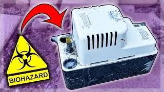 Why You Should CLEAN Your Condensate Pumps!