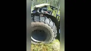 по болотам на каракате. сбор морошки в радость!