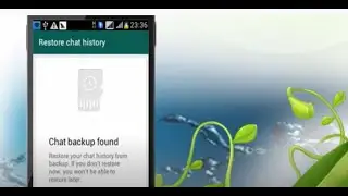 How to Transfer WhatsApp Chats from iOS iPhone to Android
