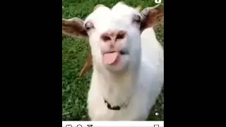 некоторые люди точно так же болтают лишь бы не молчать 😁