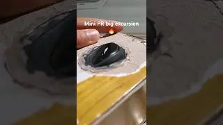 Mini passive radiator excursion 🔥