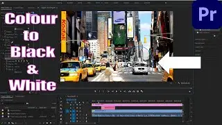 How to Change Color Footage into Black and White in Premiere Pro