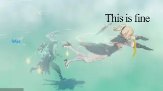 The Genshin Co-op Experience