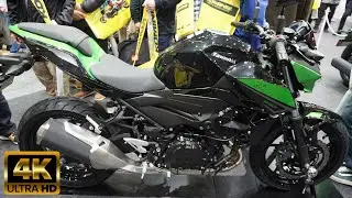 2023 KAWASAKI Z250 - New Kawasaki Z250 2023 - 新型カワサキ Z250 2023年モデル