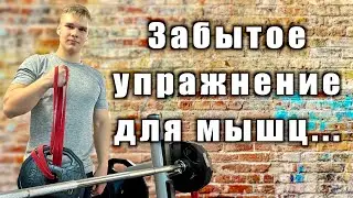 A forgotten exercise for the stabilizer muscles