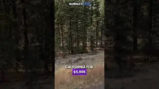 0.93 Acres with road access for Sale in Alturas, California for $5,995. Taxes are under $28 a month