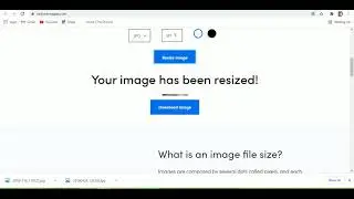 How to edit photo for DV lottery using https://www.reduceimages.com/