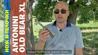 РАЗРУБАЮ БУТЫЛКУ ножом Antonini Old Bear XL