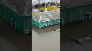 что творит вода в 2024 году в Казахстане #2024 #вода #казахстан #потоп