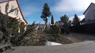 Cutting down a tree time lapse 2019